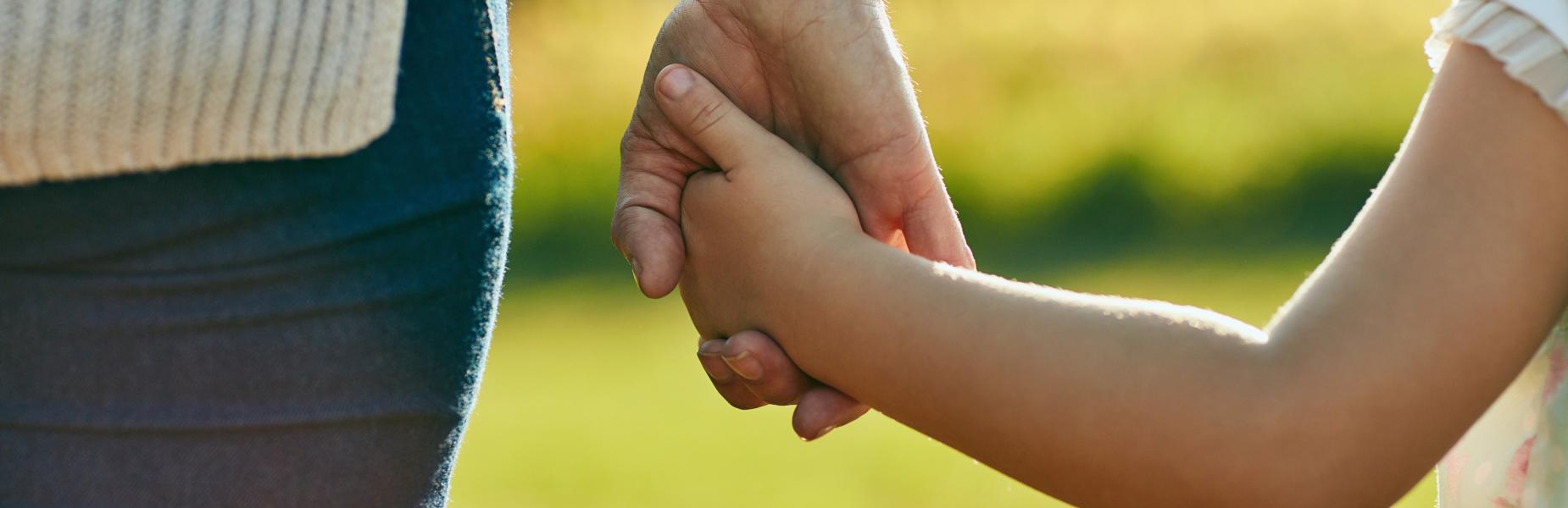 A child holding hands with an adult in a green field