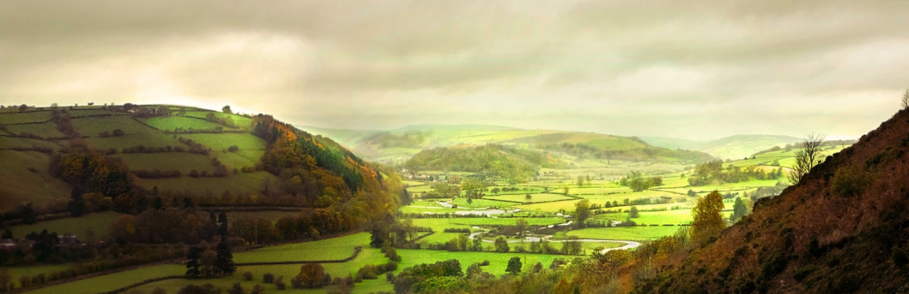 Dyffryn Teme, Powys