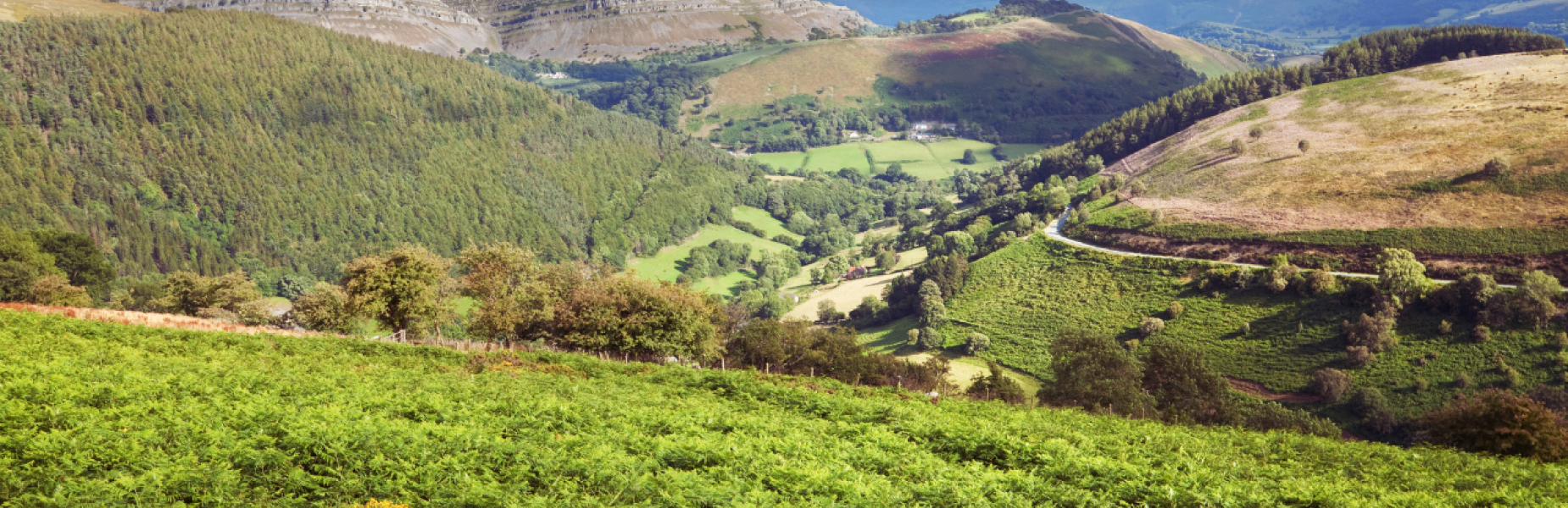 Denbighshire countryside