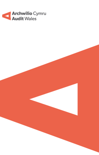 generic cover with audit wales branding and logo.